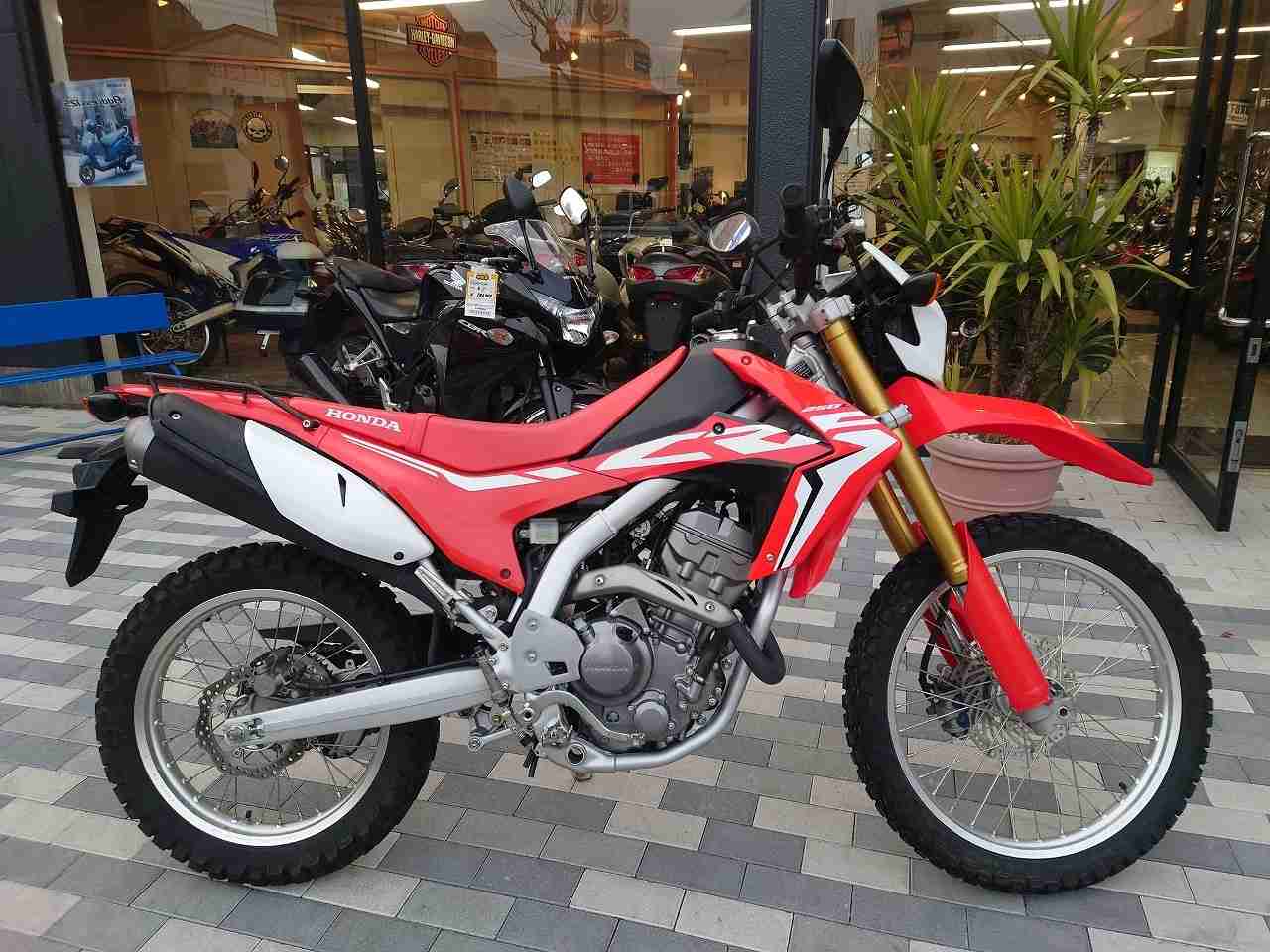 バイクイメージ