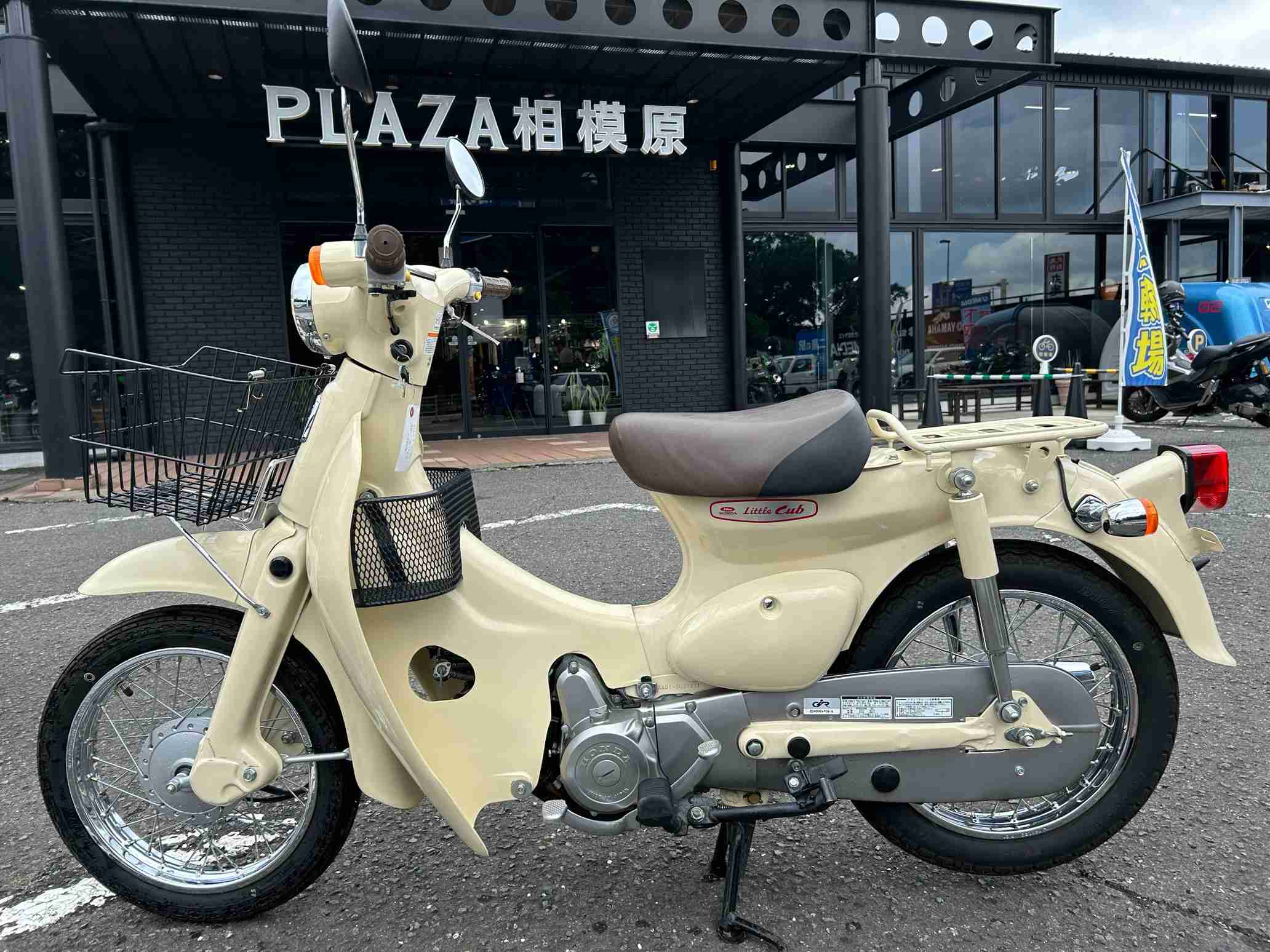 スーパーカブ50/ホンダ/HONDA ﾘﾄﾙｶﾌﾞ ｾﾙﾂｷ | Zuttoride Market